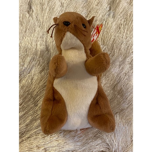 𖣘ⴽ𝖠ⴽⴹ𖣘   RARE Ty Beanie Baby NUTS the SQUIRREL 🐿️ with ERRORS❗️   ꢳ⊂❝᎖ᘸꢳ - Picture 5 of 11